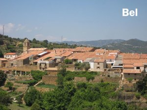 Bel