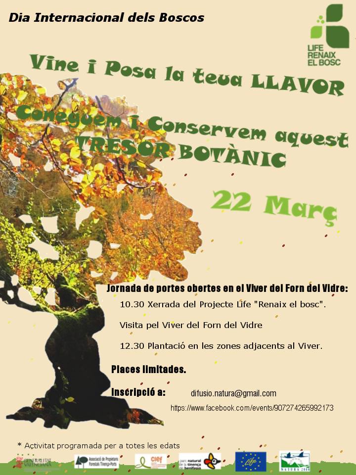 forn del vidre tinença